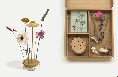 Voor altijd mooi: droogbloemen Voor altijd mooi: droogbloemen